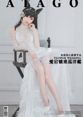 变形金刚2卷土重来